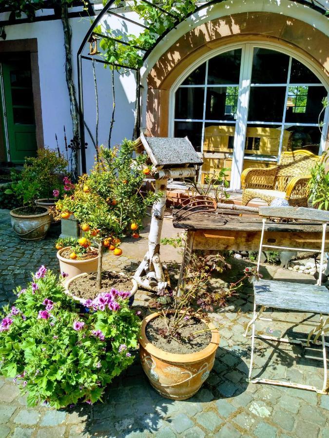 Willkommen In Unserem Kleinen Paradies Venningen Exterior foto