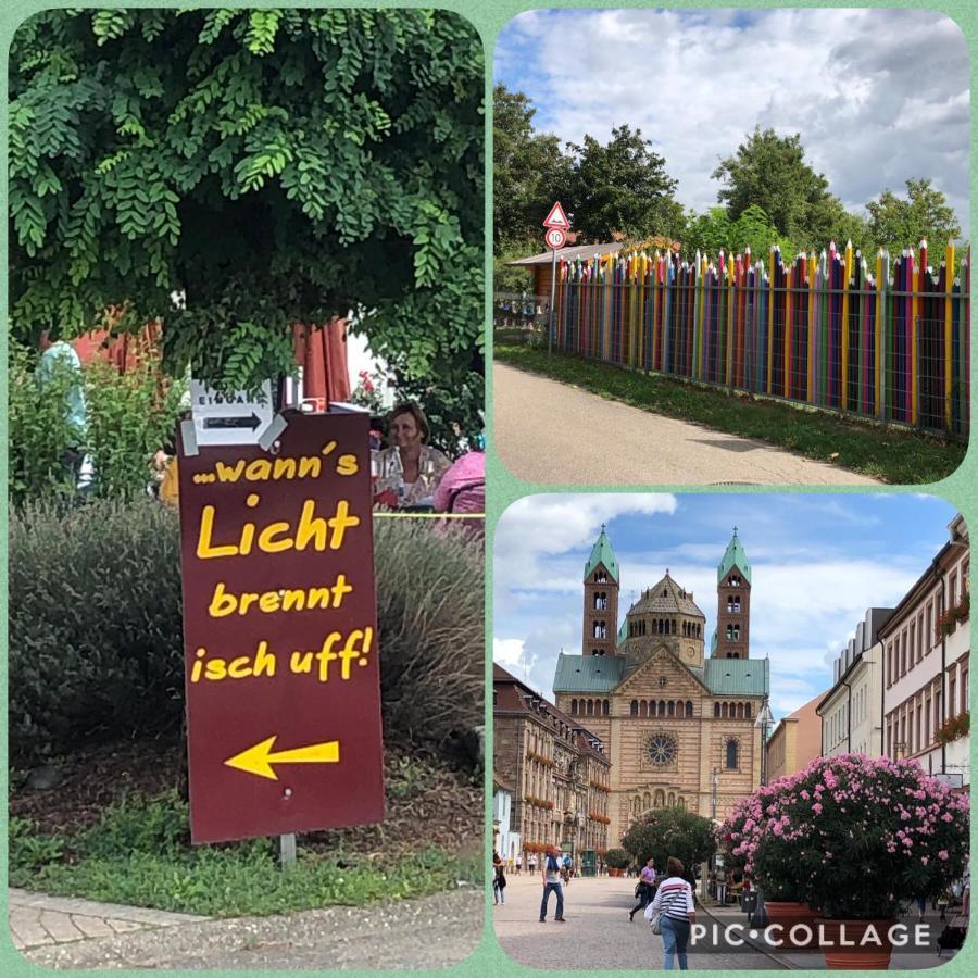 Willkommen In Unserem Kleinen Paradies Venningen Exterior foto